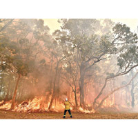澳洲山火在高溫下更難撲滅。