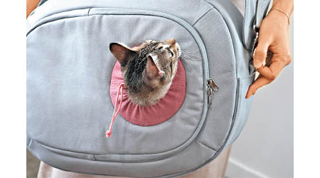 Moomoo Bag上有一個窗洞。