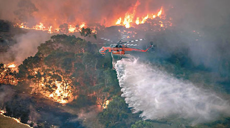 維多利亞省災情嚴重，直升機投擲水彈救火。（美聯社圖片）