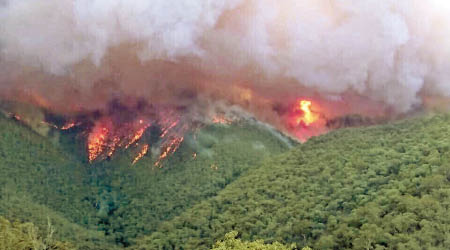 澳洲山火災情仍然嚴峻。