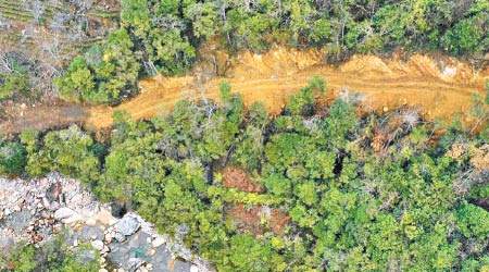 航拍圖顯示施工便道對林地樹木造成嚴重破壞。