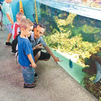 迪賓早前在旅途上帶賈登參觀水族館學習。