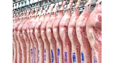 中央持續投放儲備凍豬肉。