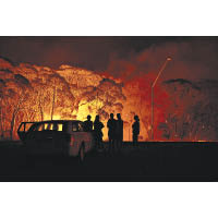 山火令澳洲旅遊業損失慘重。