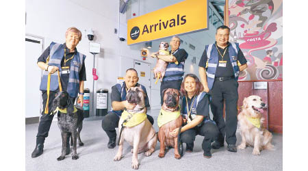 治療犬隊成為機場職員。