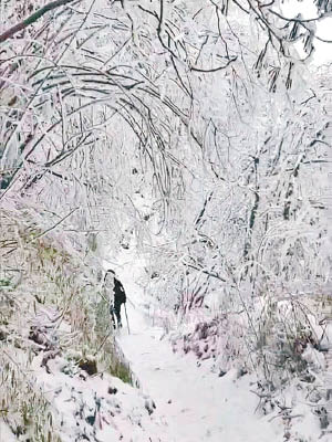 近日被冰雪覆蓋的九峰山，山路濕滑難行。