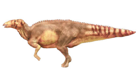 團隊研究的化石屬一隻鴨嘴龍。