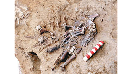 骸骨在伊拉克出土。
