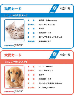 神奈川縣推出貓狗身份證。