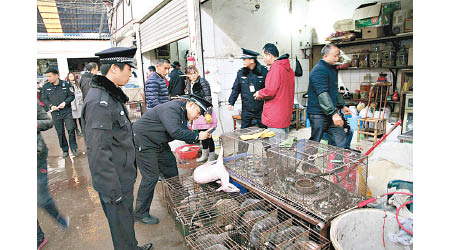 內地即日起取締食用野生動物市場及交易。