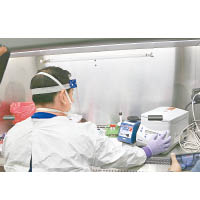 夏威夷衞生部微生物學家檢測新冠病毒樣本。
