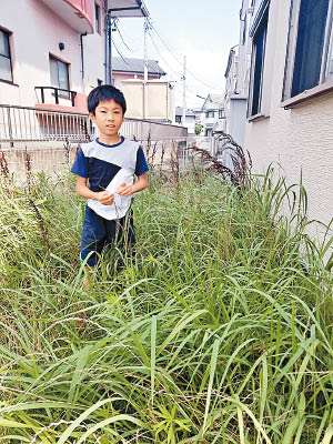 男孩家的後院雜草長至齊腰。