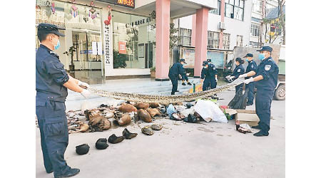 警方展示繳獲的野生動物屍體。