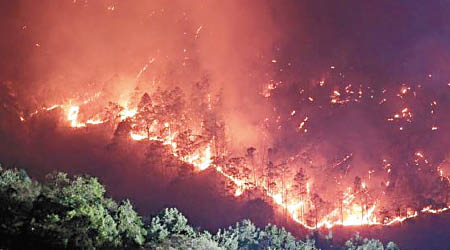 瀘山的山火前晚曾死灰復燃。