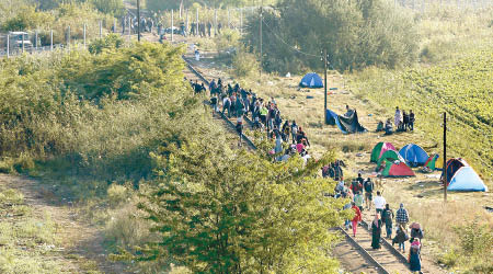 大批難民抵達塞爾維亞接壤匈牙利的邊境。