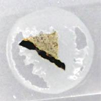 團隊將玄武岩薄片樣本染色化驗。
