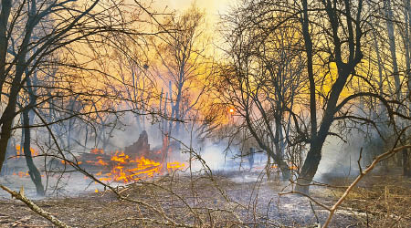 烏克蘭森林山火至今仍未撲熄。（美聯社圖片）