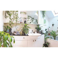 浴室也放滿植物。
