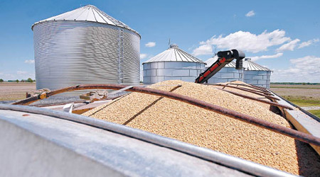 中國向美國訂購大批大豆。（美聯社圖片）