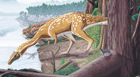 新品種恐龍（圖）是雷克斯暴龍及迅猛龍的近親。