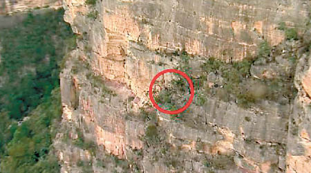 男子墮崖的位置（紅圈示）。