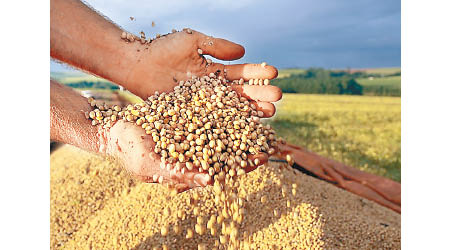 中國將購買巴西大豆確保供應。
