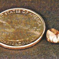 沃特金斯檢獲的褐鑽（右）比硬幣小。
