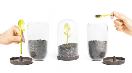 Sprout Jar