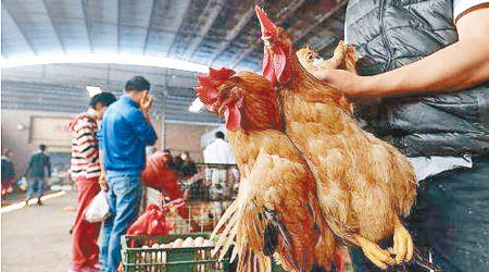 內地逐步取消活禽市場交易。
