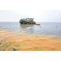 江西：鄱陽湖水位暴漲。（中新社圖片）