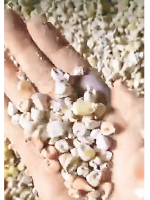 網民指粟米中有大量垃圾碎渣。