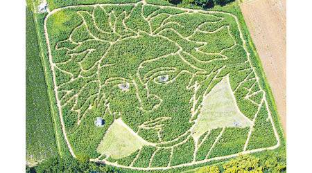 巨型植物迷宮（圖）以貝多芬頭像作圖案。（美聯社圖片）