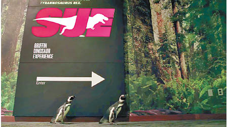 兩隻企鵝到訪菲爾德自然史博物館，拜訪恐龍家族。