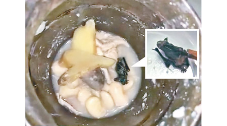 市民購買的豬肚湯內發現一隻蝙蝠。