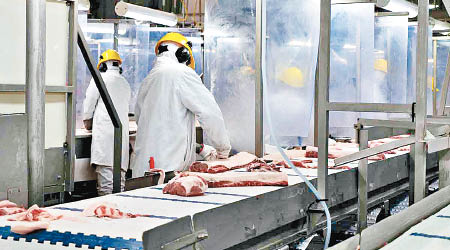 楓葉食品公司員工集體染疫，自願停止向中國出口豬肉。