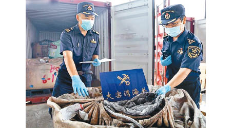 海關查獲大批洋垃圾。