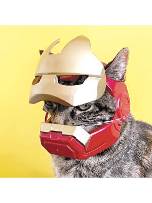 卡托德戴上鐵甲奇俠頭盔，霸氣又搞笑。