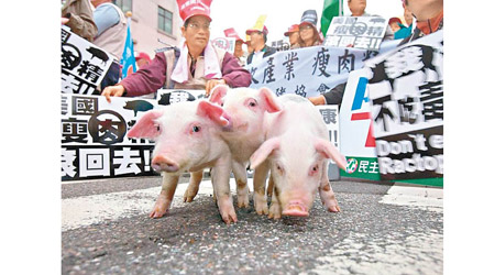 台灣民眾早前曾上街反對開放美國豬牛肉進口。