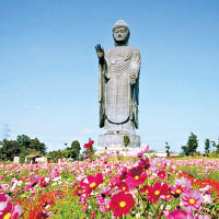 茨城縣牛久大佛是世界最大青銅佛像。