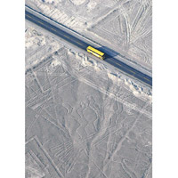 地畫繪於納斯卡沙漠上。