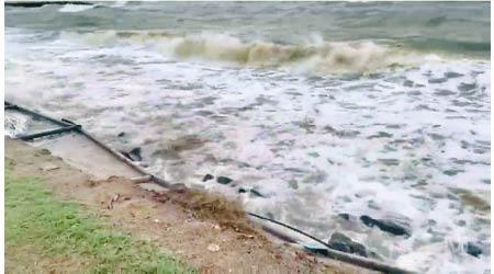 澳洲東南部受暴雨侵襲。（電視畫面）