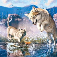 朱兒是生活於冰河時期的野狼。圖為構想圖。