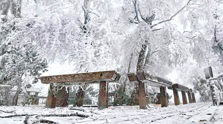 太平山迎來今年第一場雪。