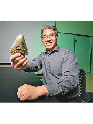 島田賢舟展示巨牙鯊牙齒化石。