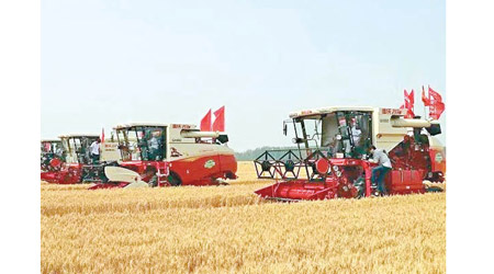 山東農民收割小麥。