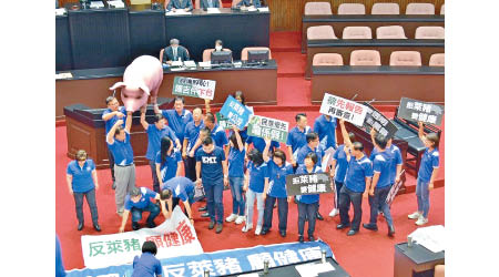 台灣的藍營立委早前多次在立法院反對輸入「瘦肉精豬」。
