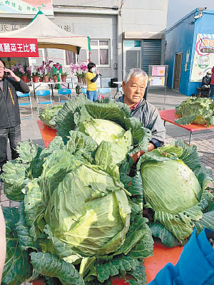 葉春伸蟬聯「高麗菜王」。