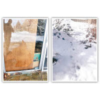 美洲獅從破窗入屋（左），獅子離開時在雪地留下腳印（右）。
