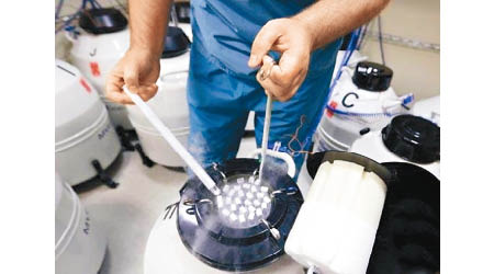 內地正研究制訂卵子冷凍技術的規範和標準。