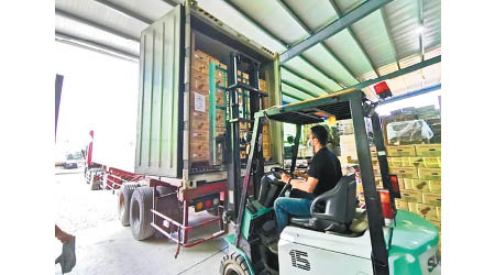 工人把台灣菠蘿裝上貨櫃，準備出貨往新加坡。